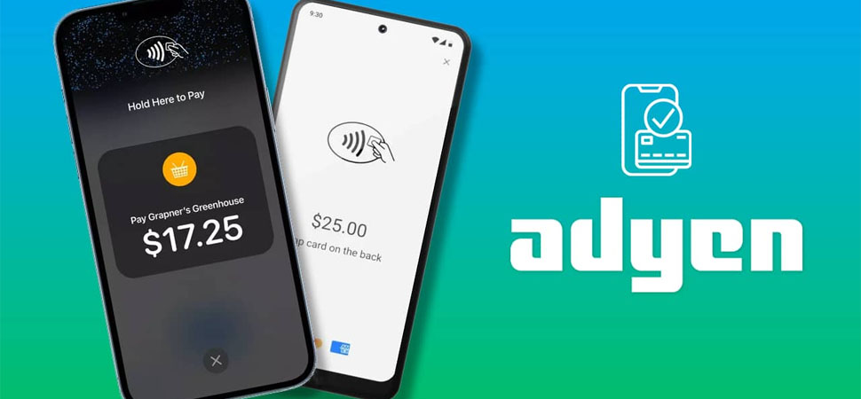 Banking Sector Leaders 2025: Who stays on top and why?